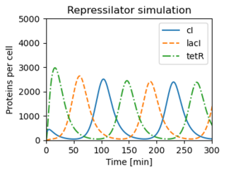 Figure-3.26-repressilator dynamics.png